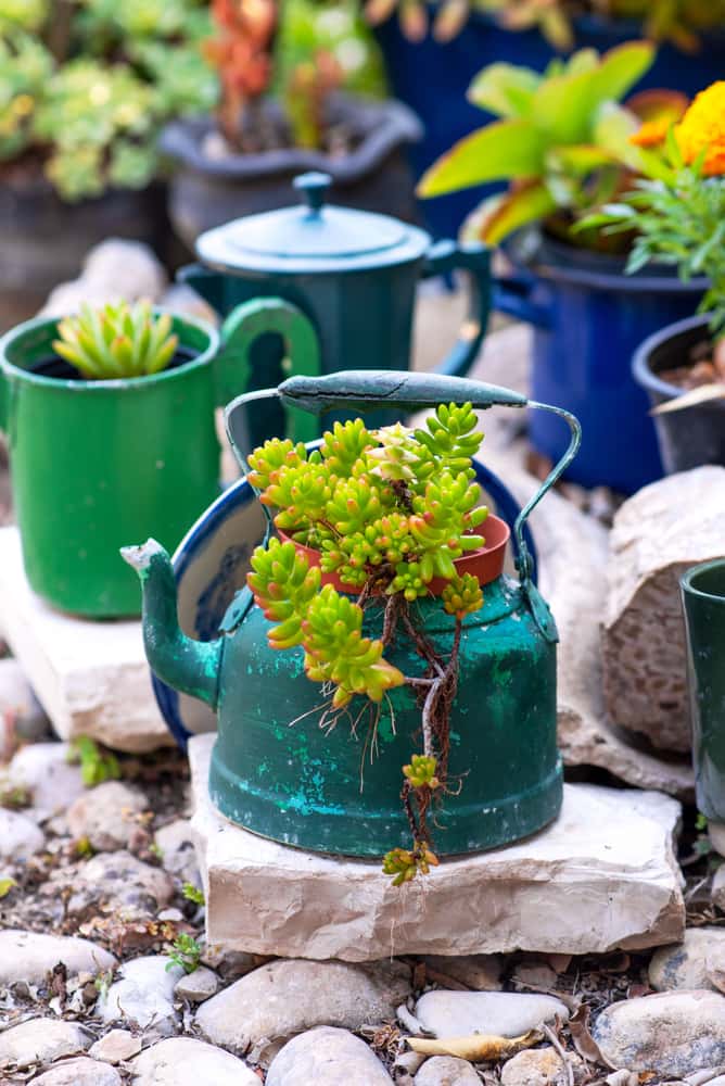 Old Kettles are Always In