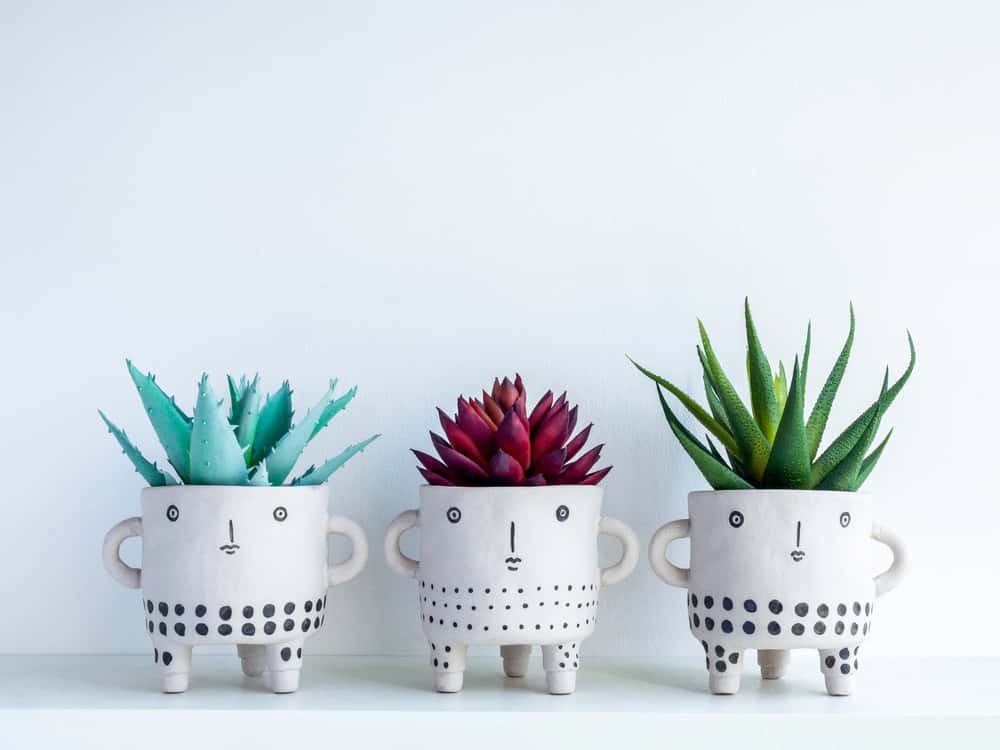 Fun-Looking Planters