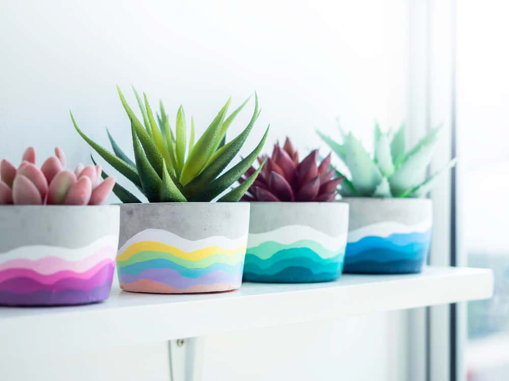 Paint Your Way into DIY