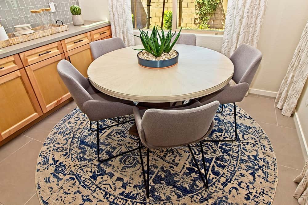 aloe vera plants in dining table