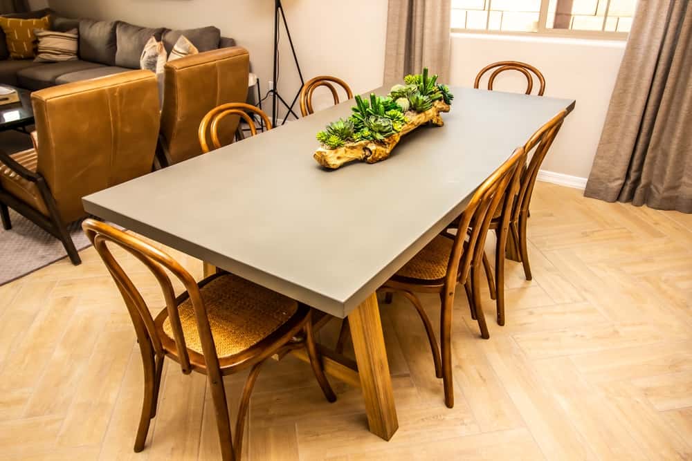 succulent in Dining table