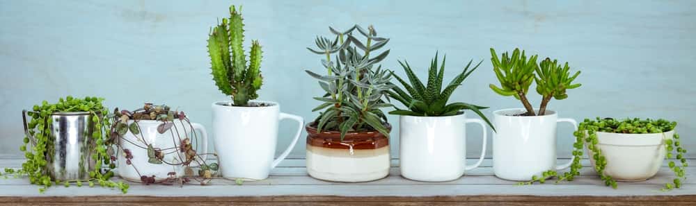 Upcycling Ideas