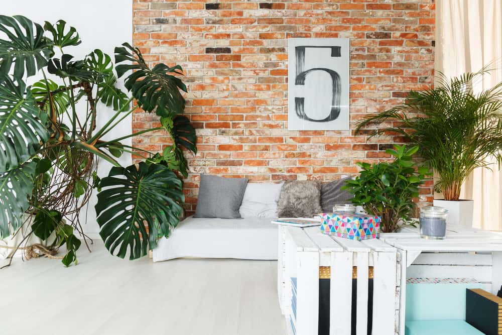 Get Creative with Vegetable Crates!
