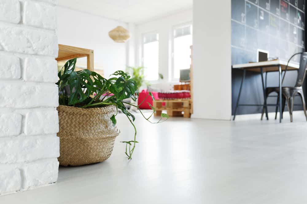 vitrified tiles for living room