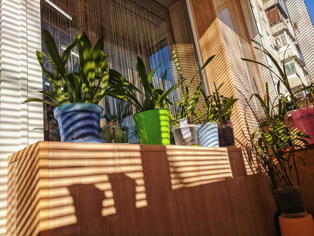modern garden balcony ideas