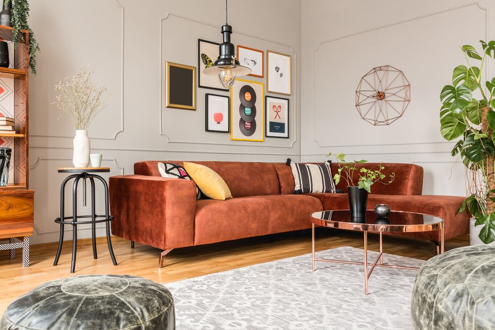 Classy velvet furniture