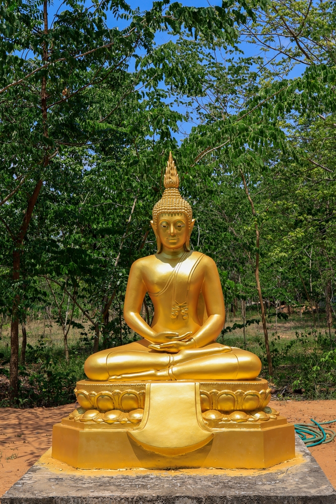 Meditation Buddha