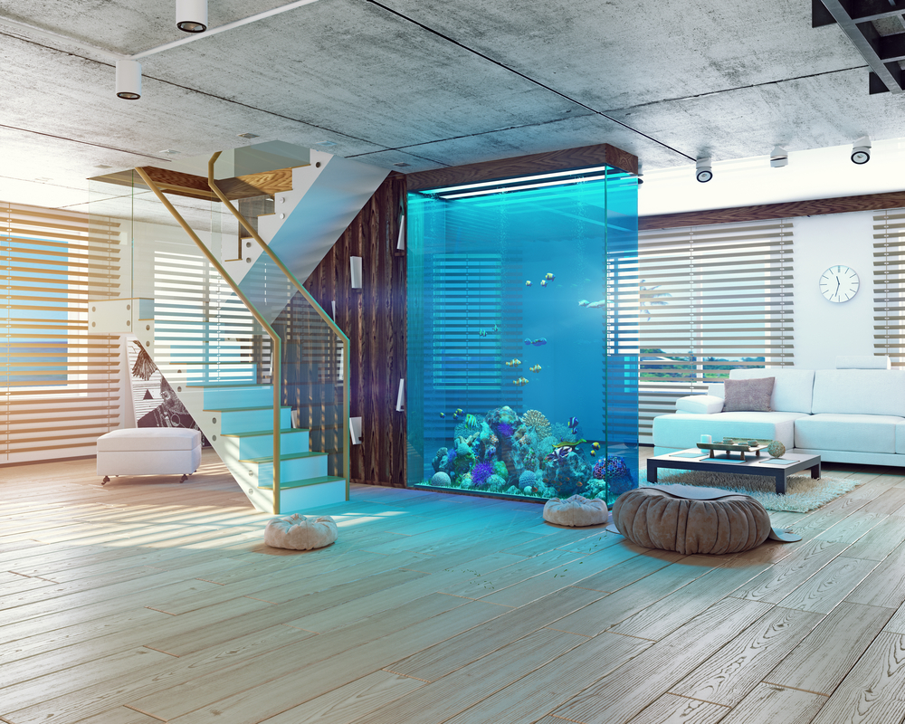 Aquarium in a Wall
