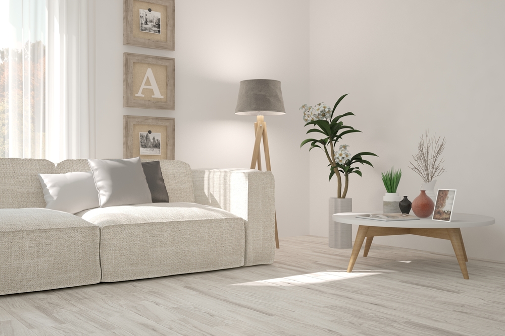 Minimalistic interiors