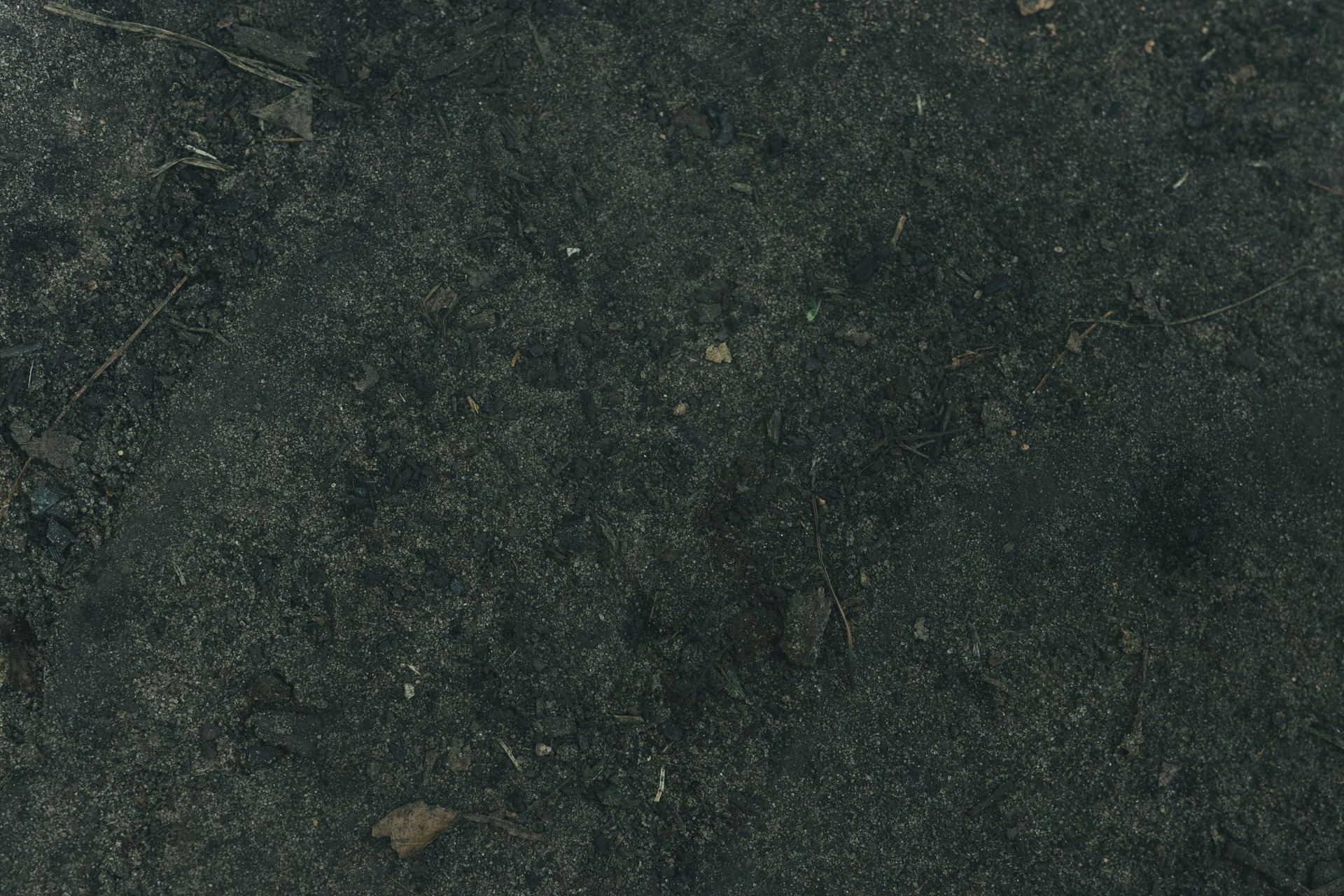 black granite flooring