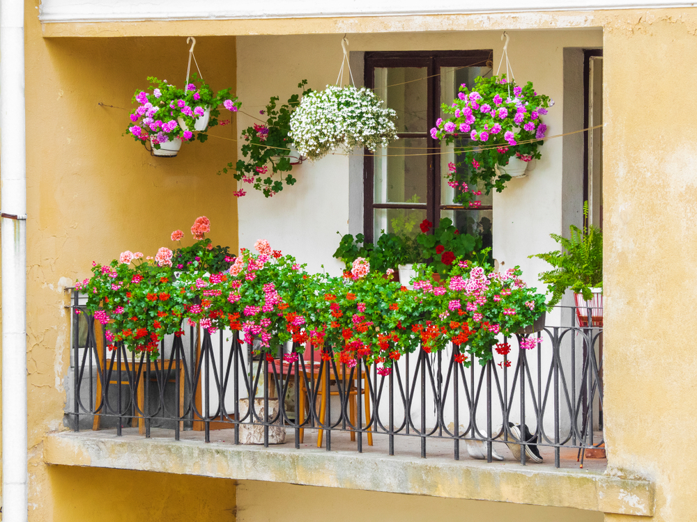 hanging pots outside window