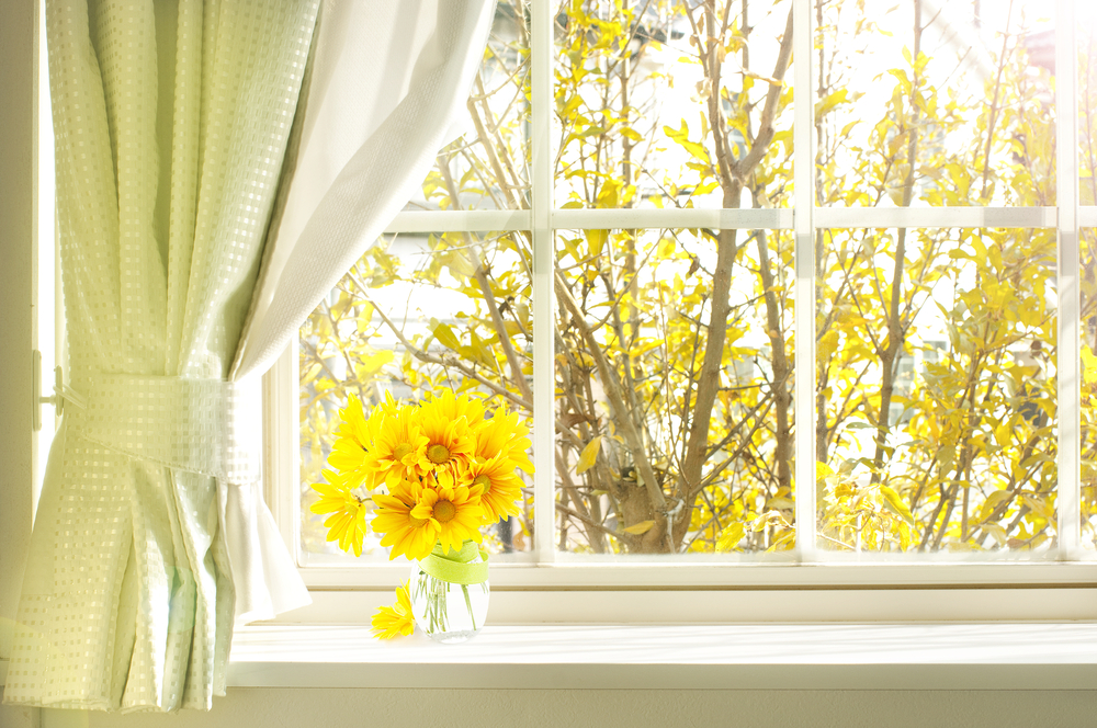 sun in bedroom window