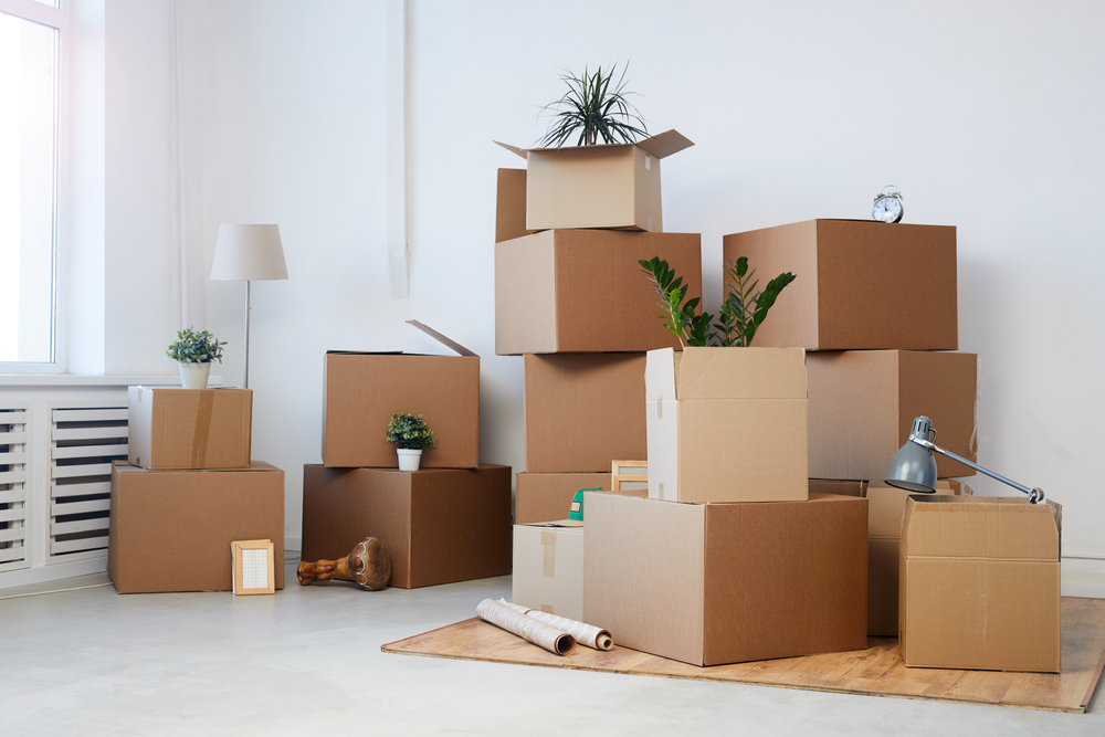 declutter cleaning ideas