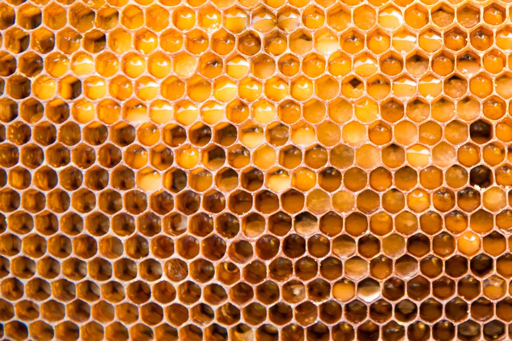 hexagon