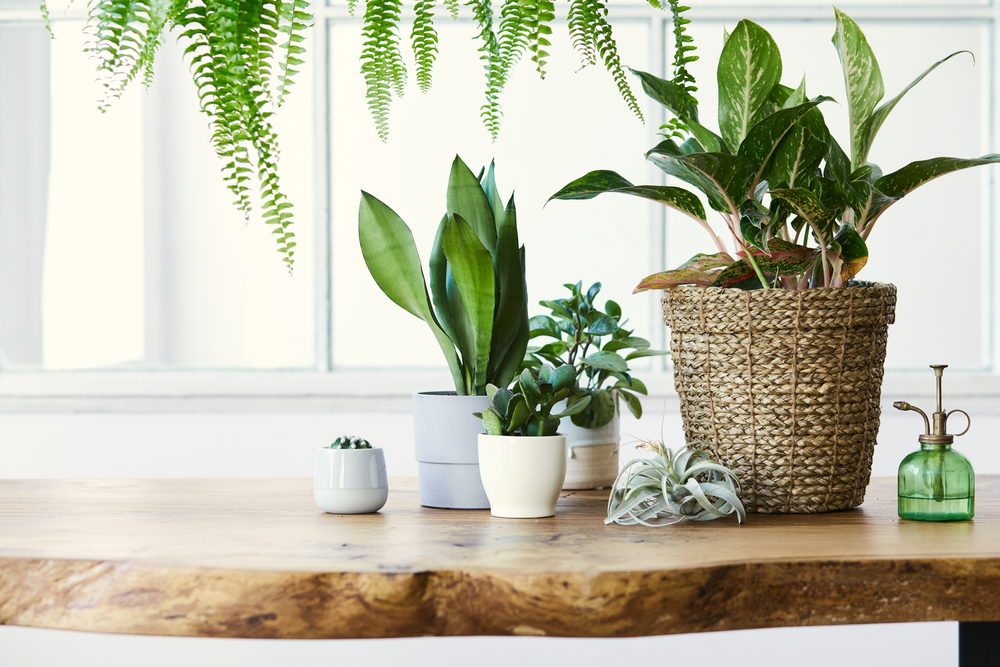 jute rope planter pot