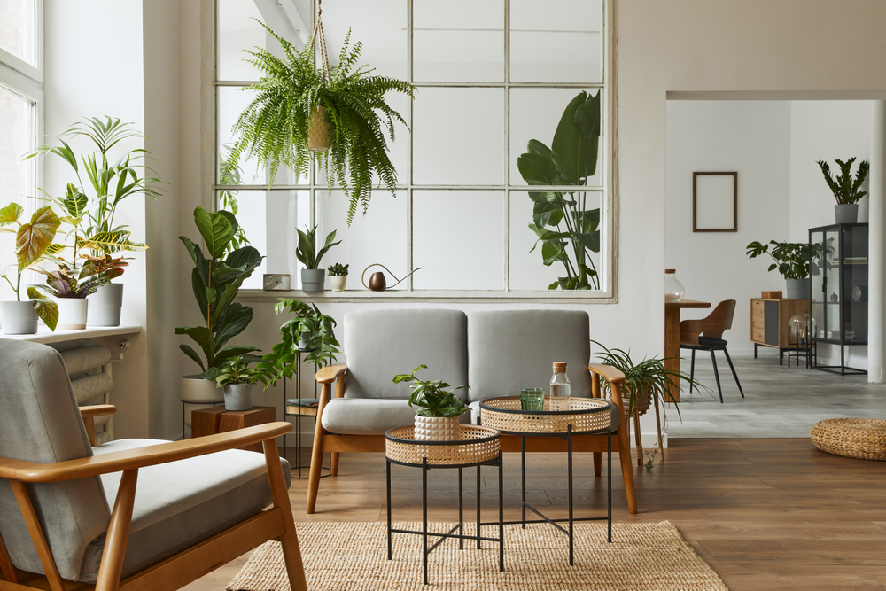 Indoor Plant Decor