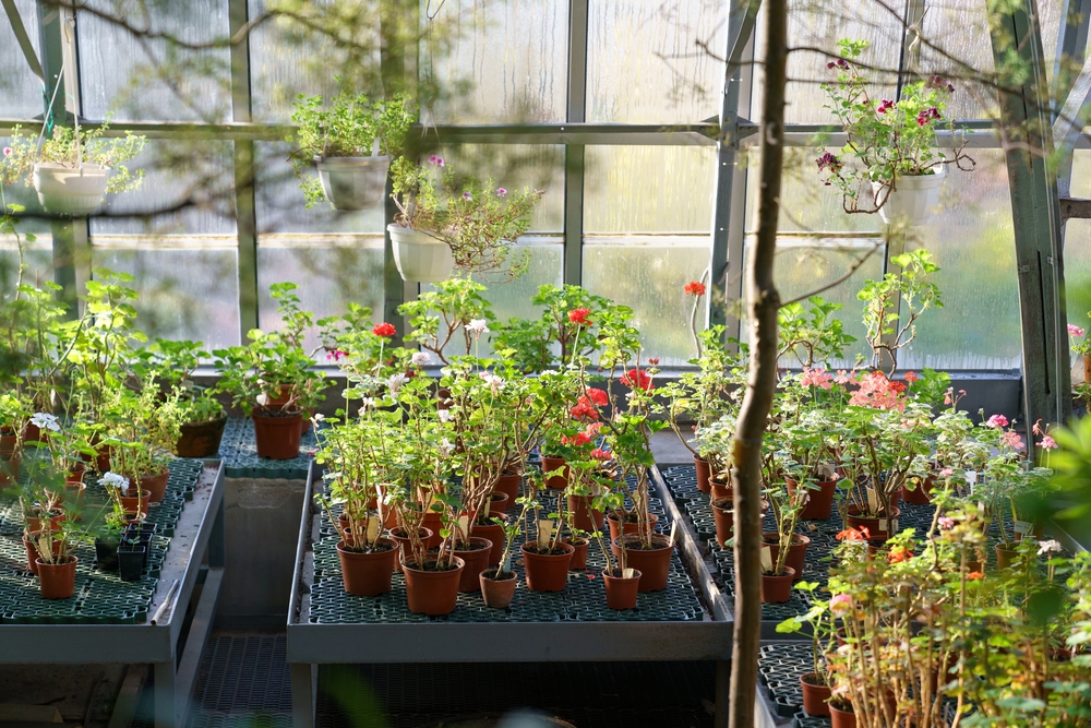 small garden window