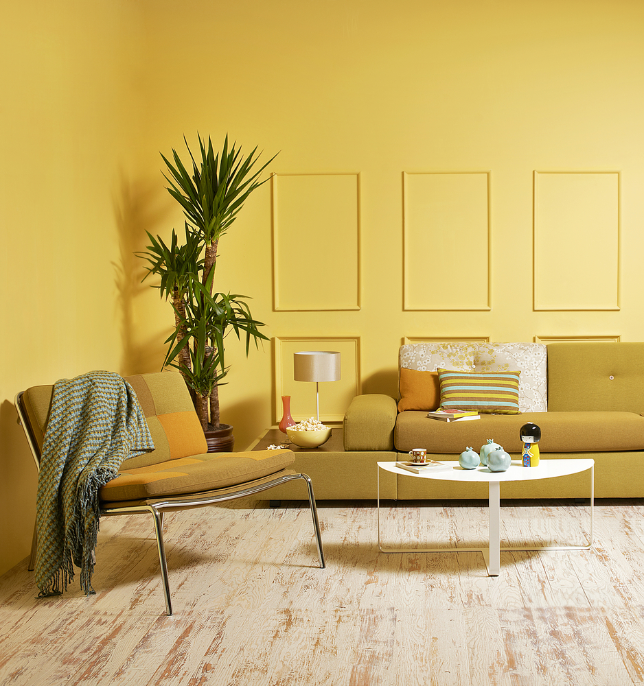 tropical color interiors