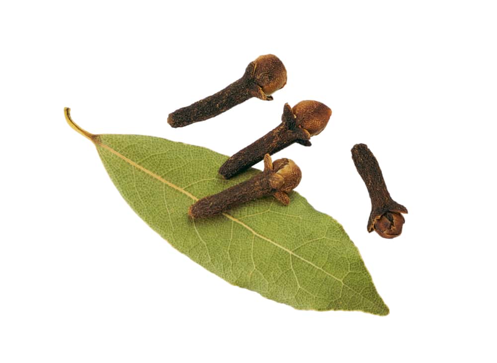 Whole cloves and bay leaf – Natural kitchen-friendly remedy to repel cockroaches and pests