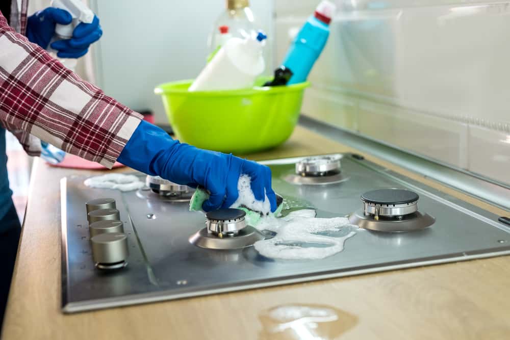 Cleaning kitchen stove with gloves and detergent – Maintain hygiene to prevent insect infestations