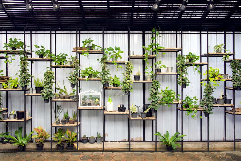 vertical herb gardens