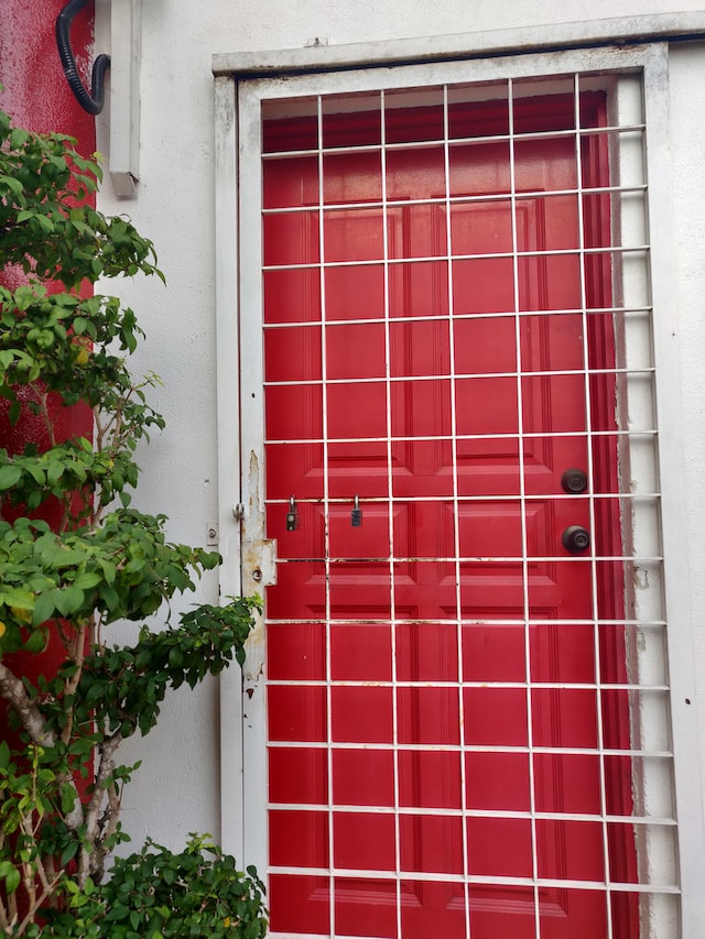 Modern Safety Door Designs For Flats