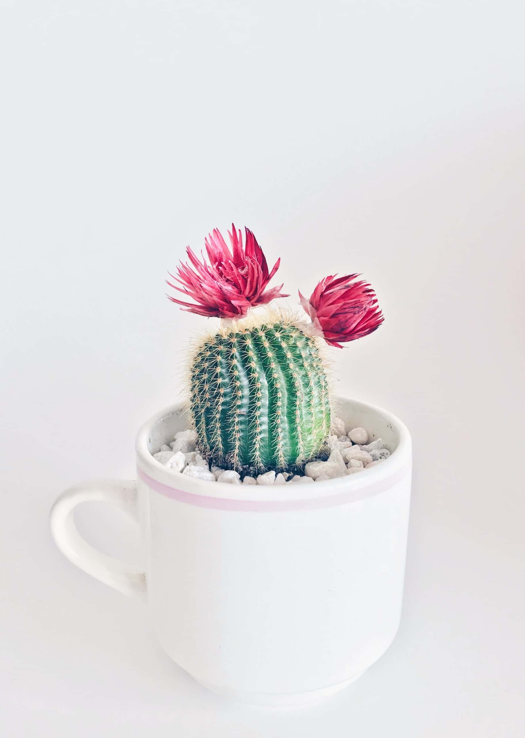 artificial flower decoration