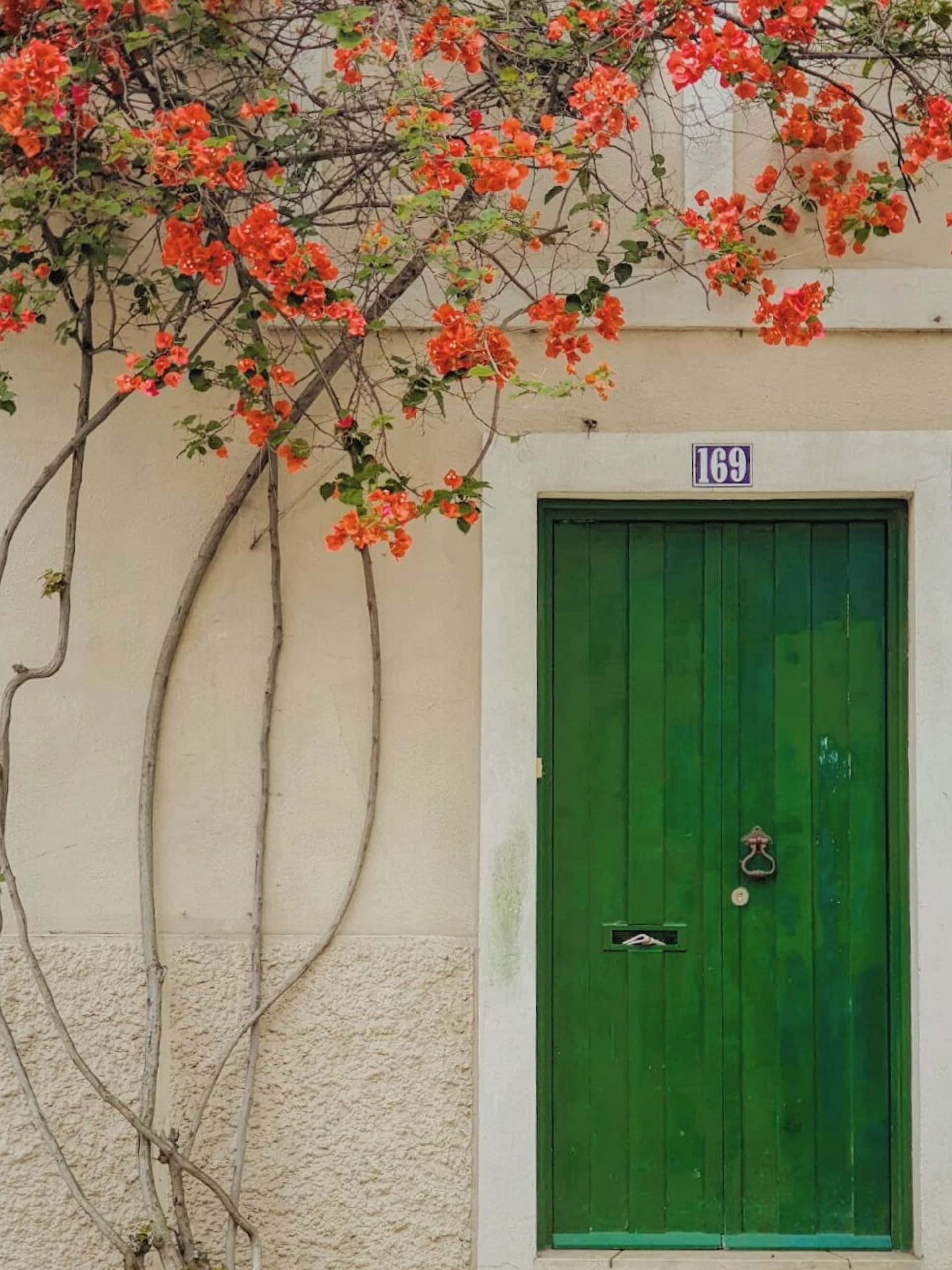 wooden double door design
