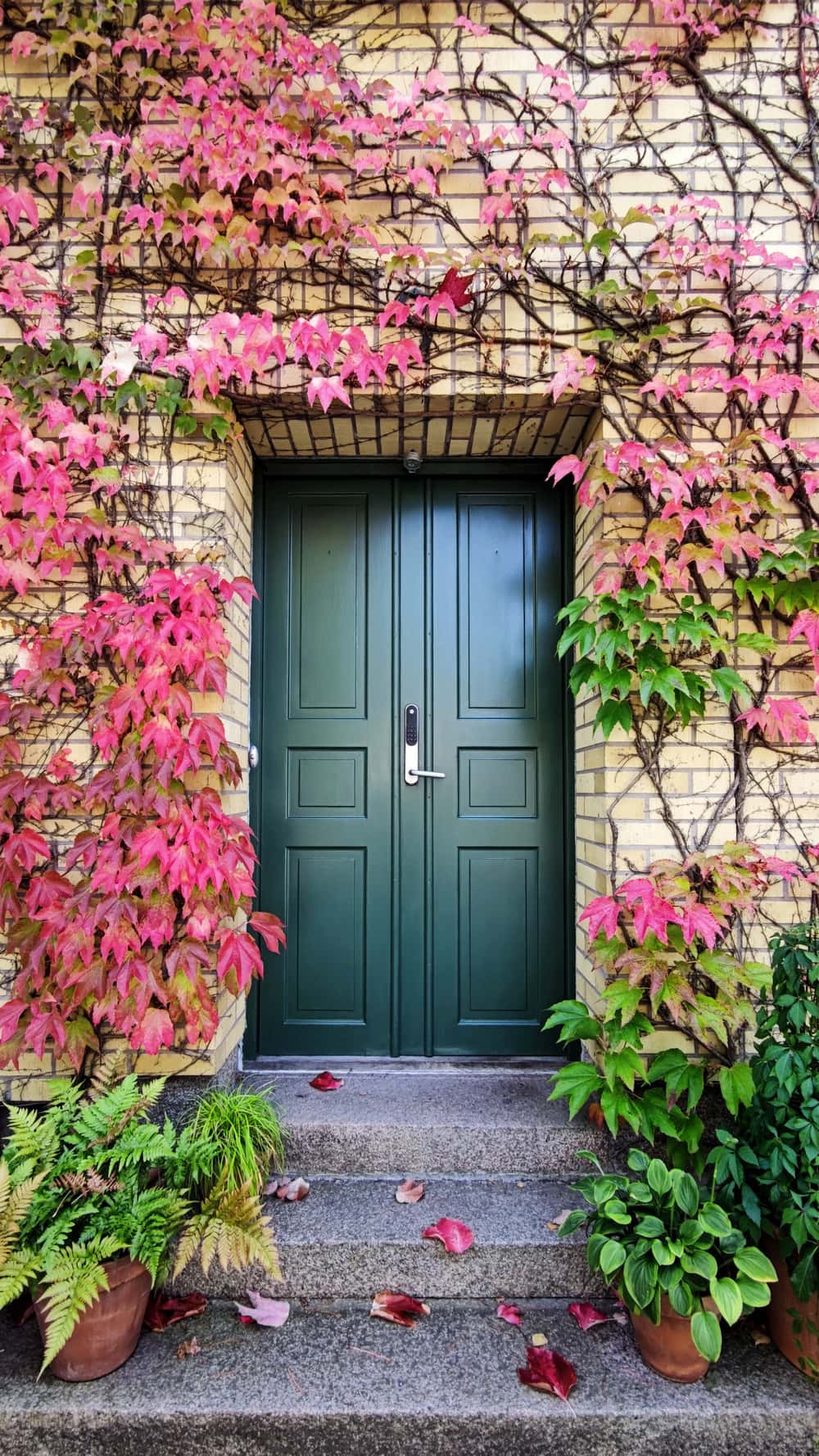 double door designs for a main door