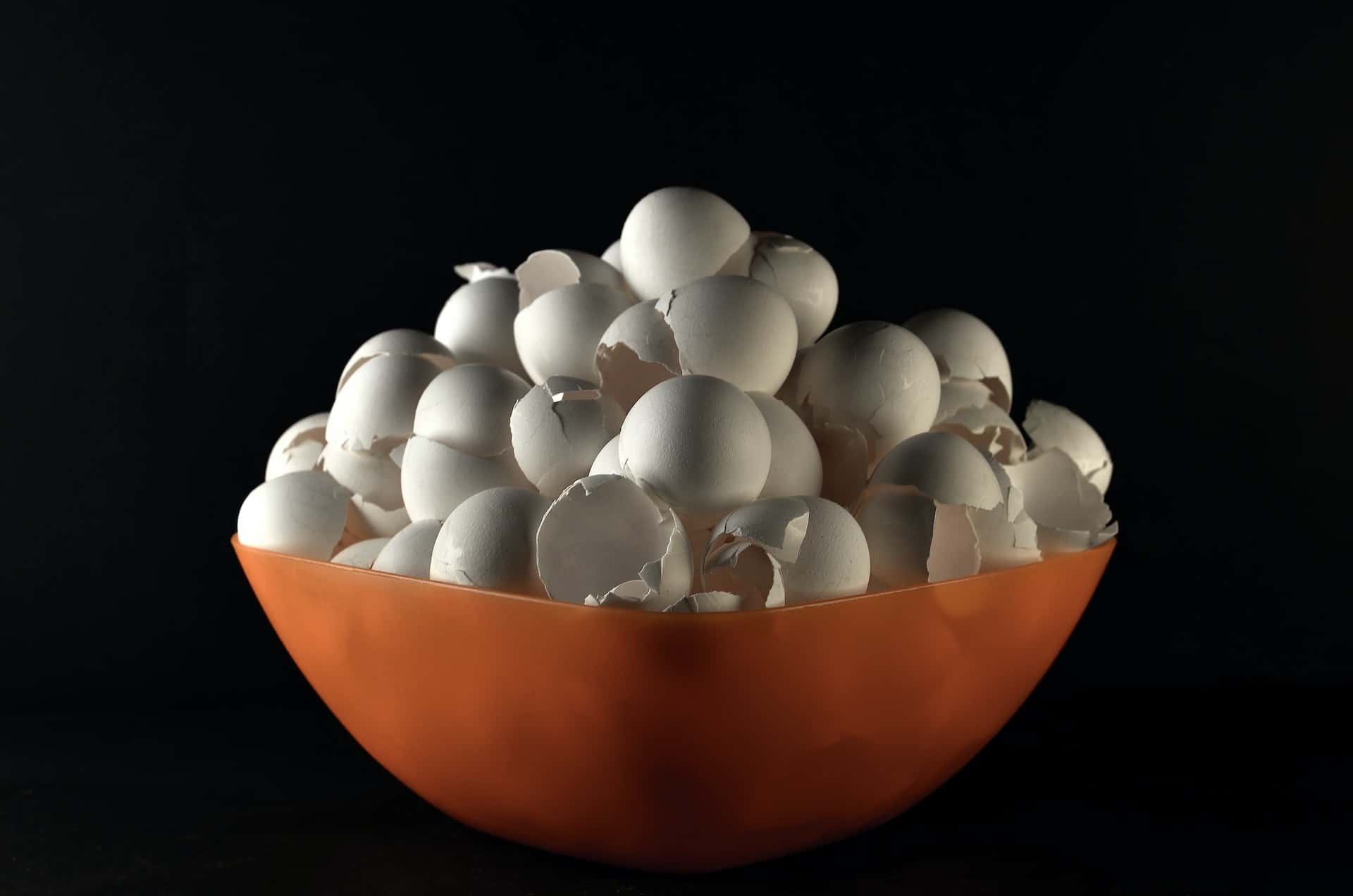 Natural way how to get rid of lizards using empty egg shells in corners