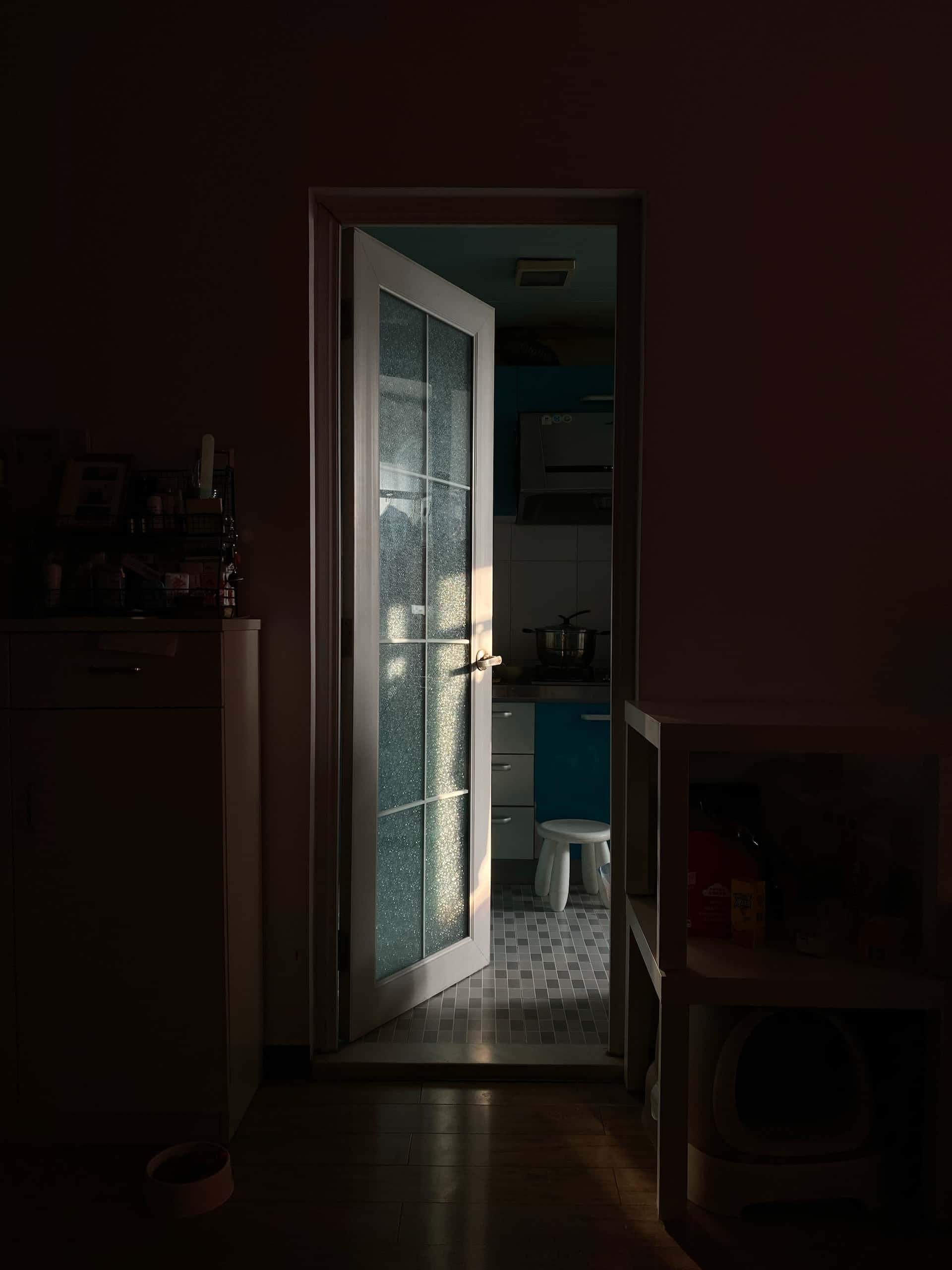 Sunlit kitchen door designs with frosted glass and white frame for a modern entryway