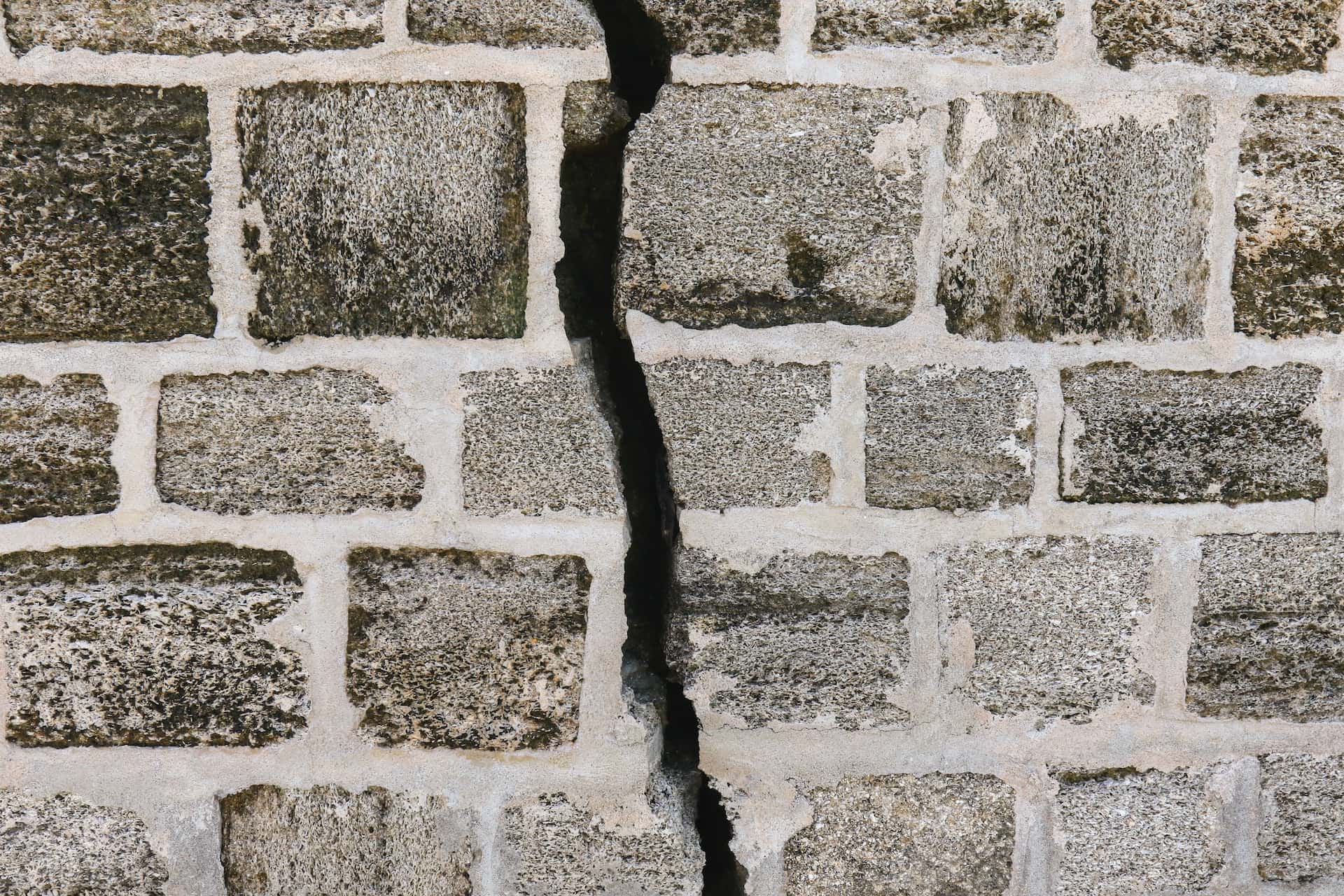 Cracks how to get rid of lizards entry points in house walls naturally