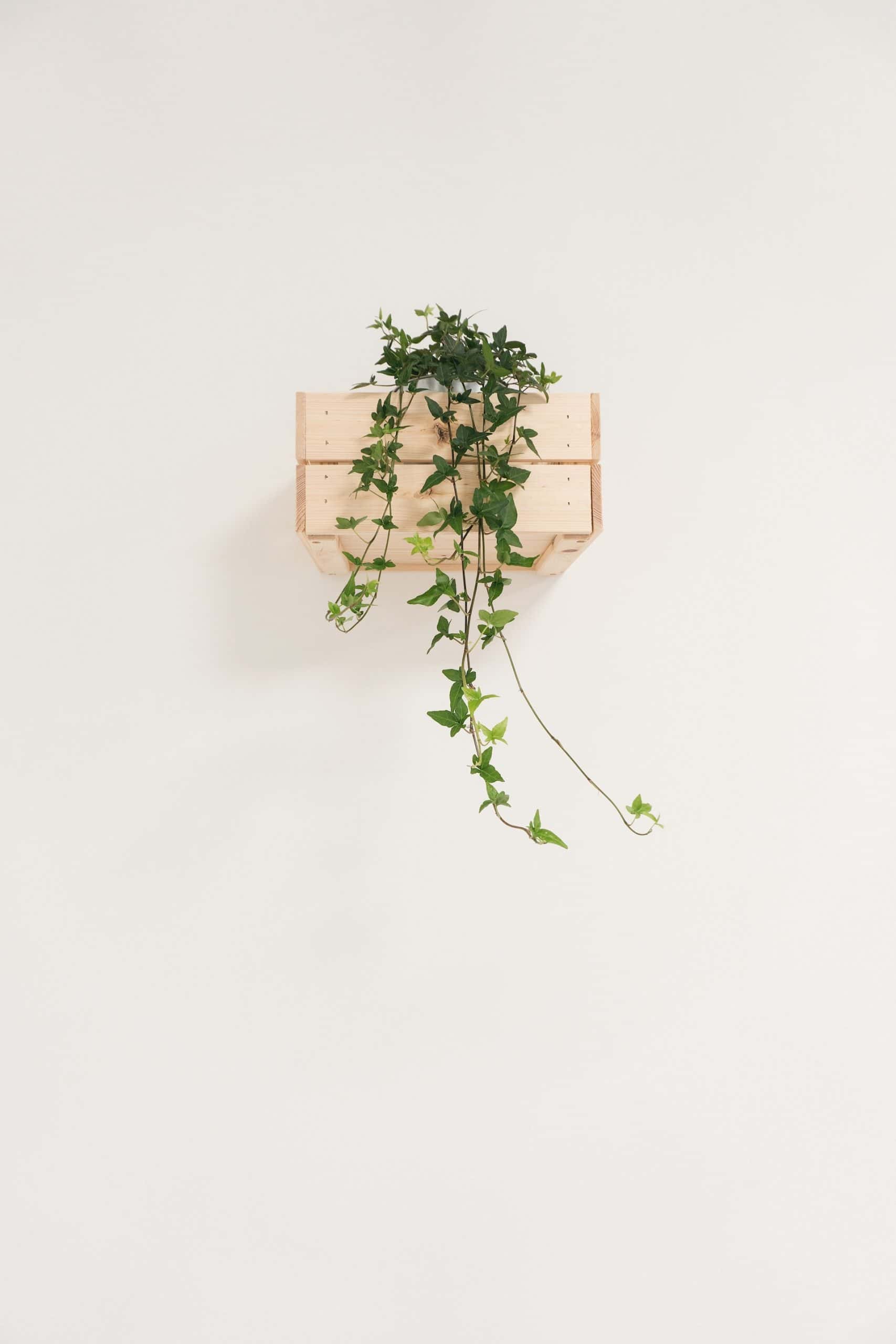 Pallet Wall Shelf Planter