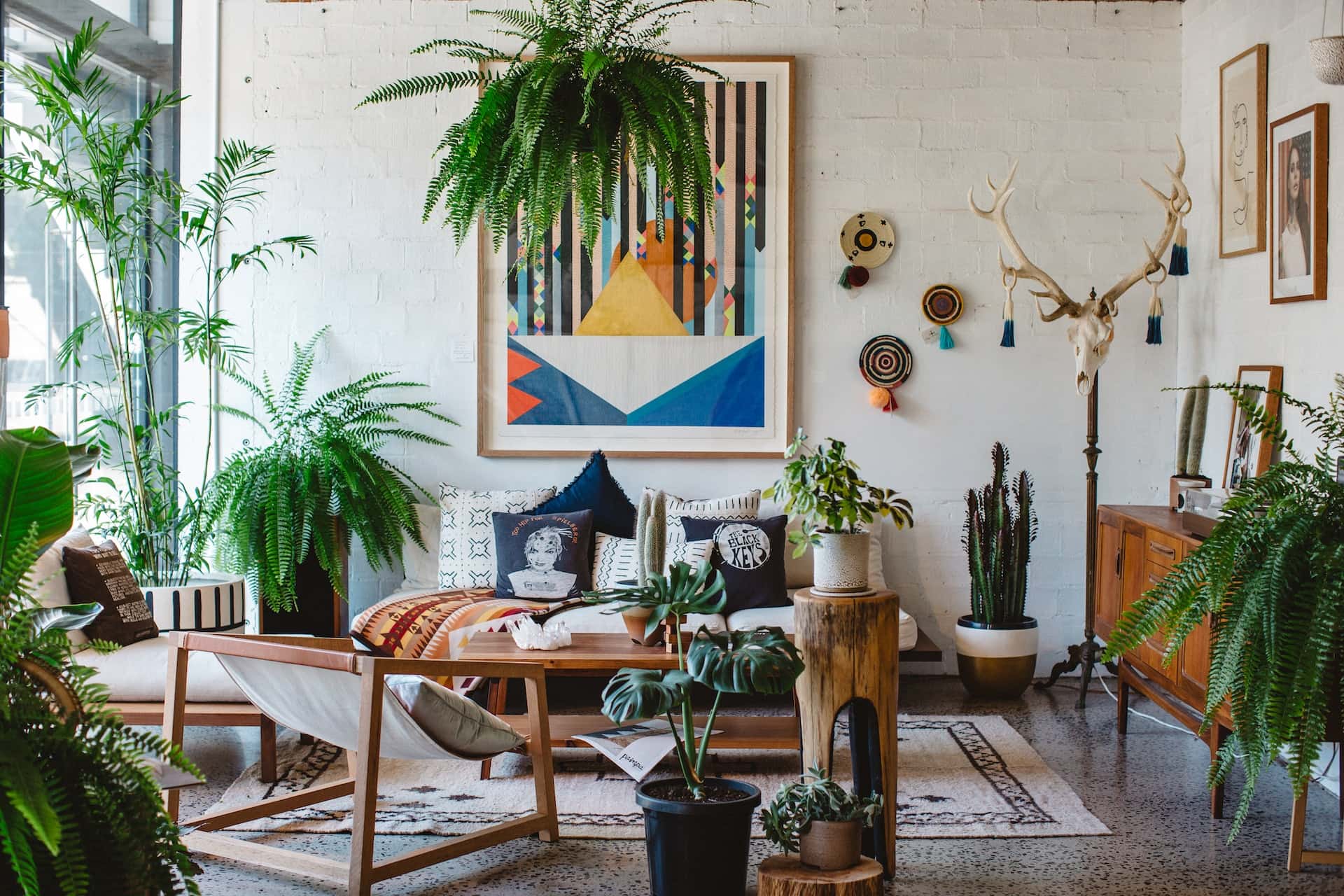 Top 10 Indoor Plants in India