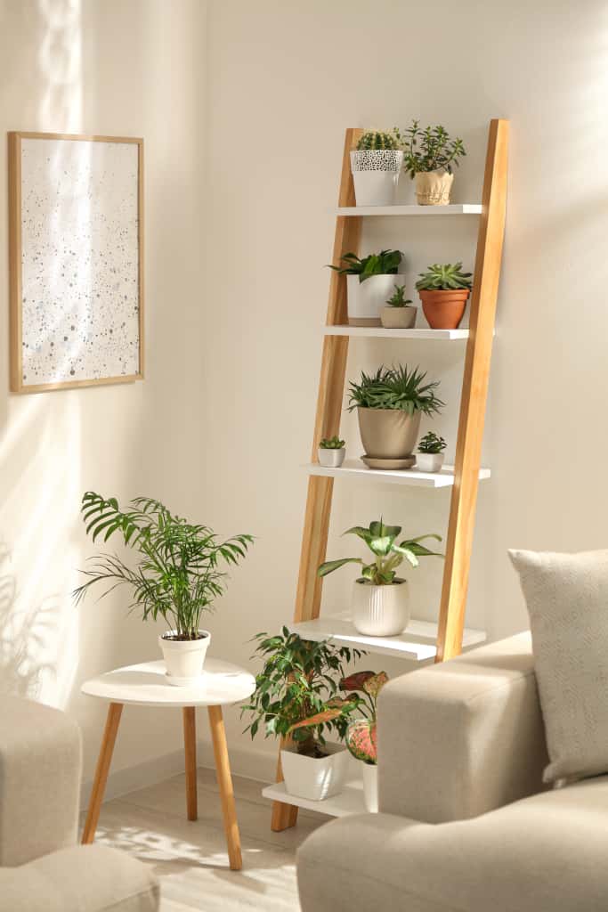 5-tier corner shelf