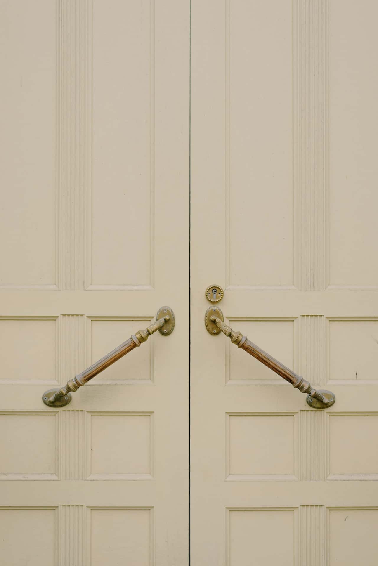 Antique Main Door Handle