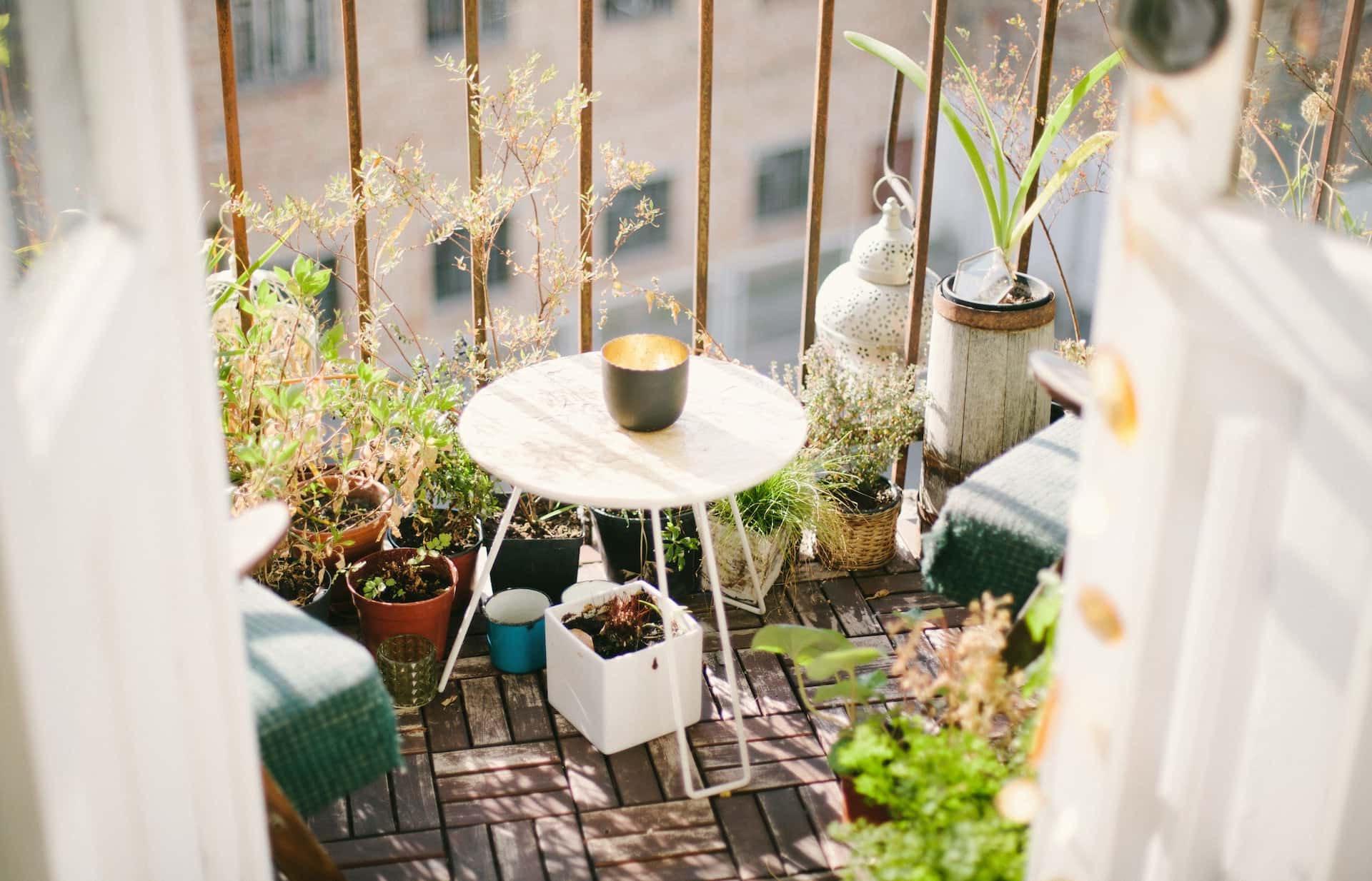 Cozy balcony sitout design with plants, round table, and warm natural sunlight