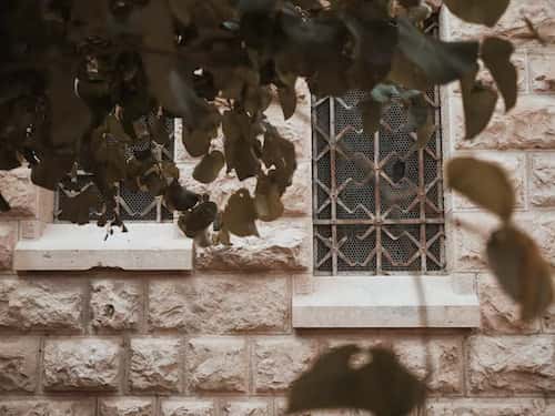 box window with mesh
