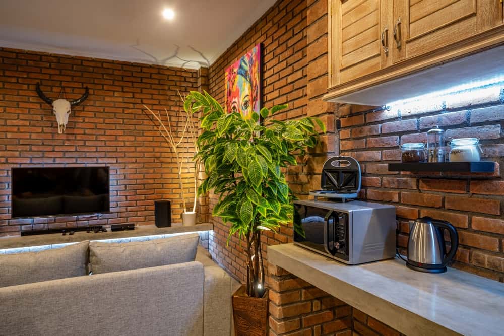 brick tiles for drawing room wall