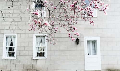 classic long rectangular windows