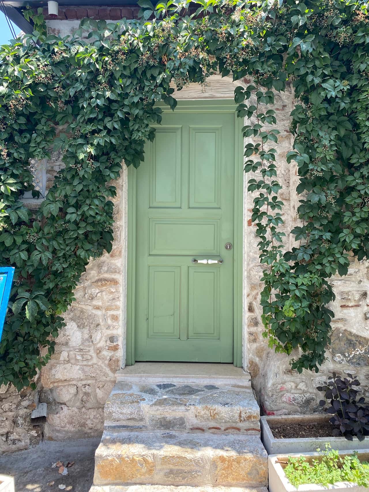 Coloured Veneer Door Designs