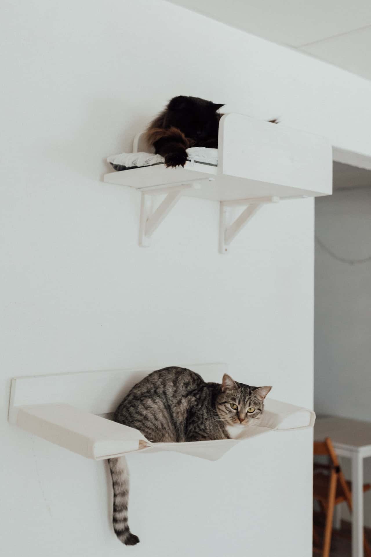 cute cubicle farm shelves