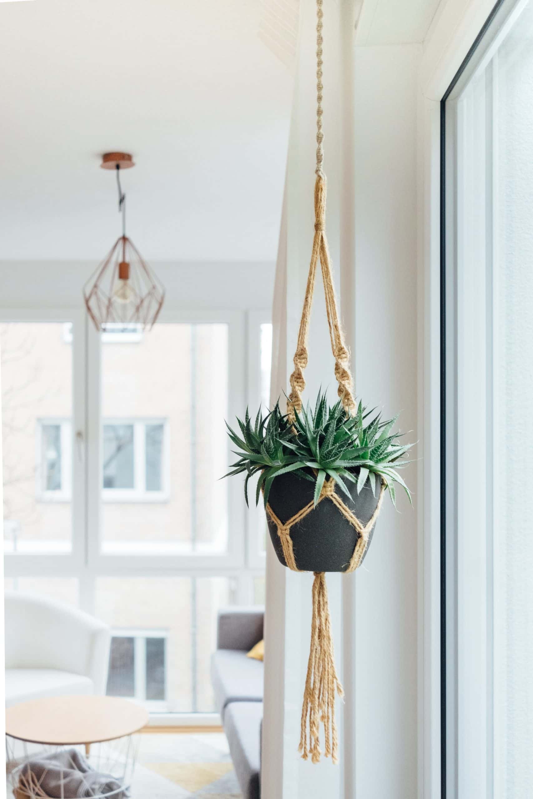 DIY Macrame Wall Hanging Idea