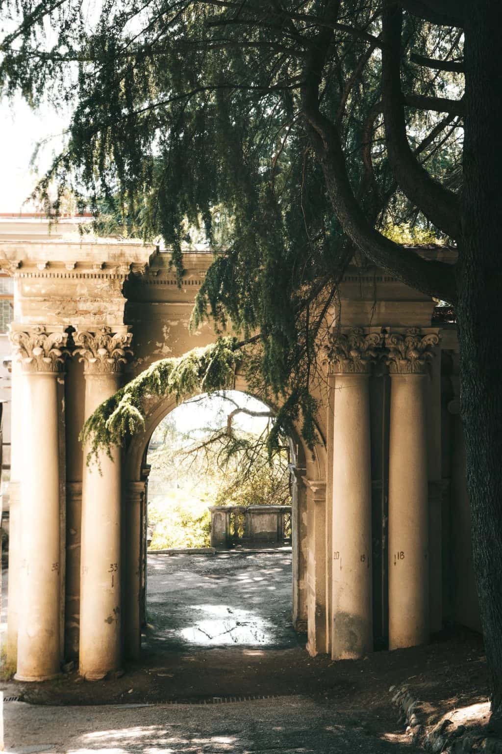 14 Magical Entrance Arch Designs That Elevate Home Décor