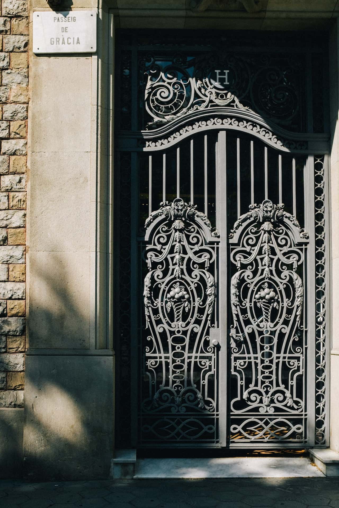 fancy metal safety door design