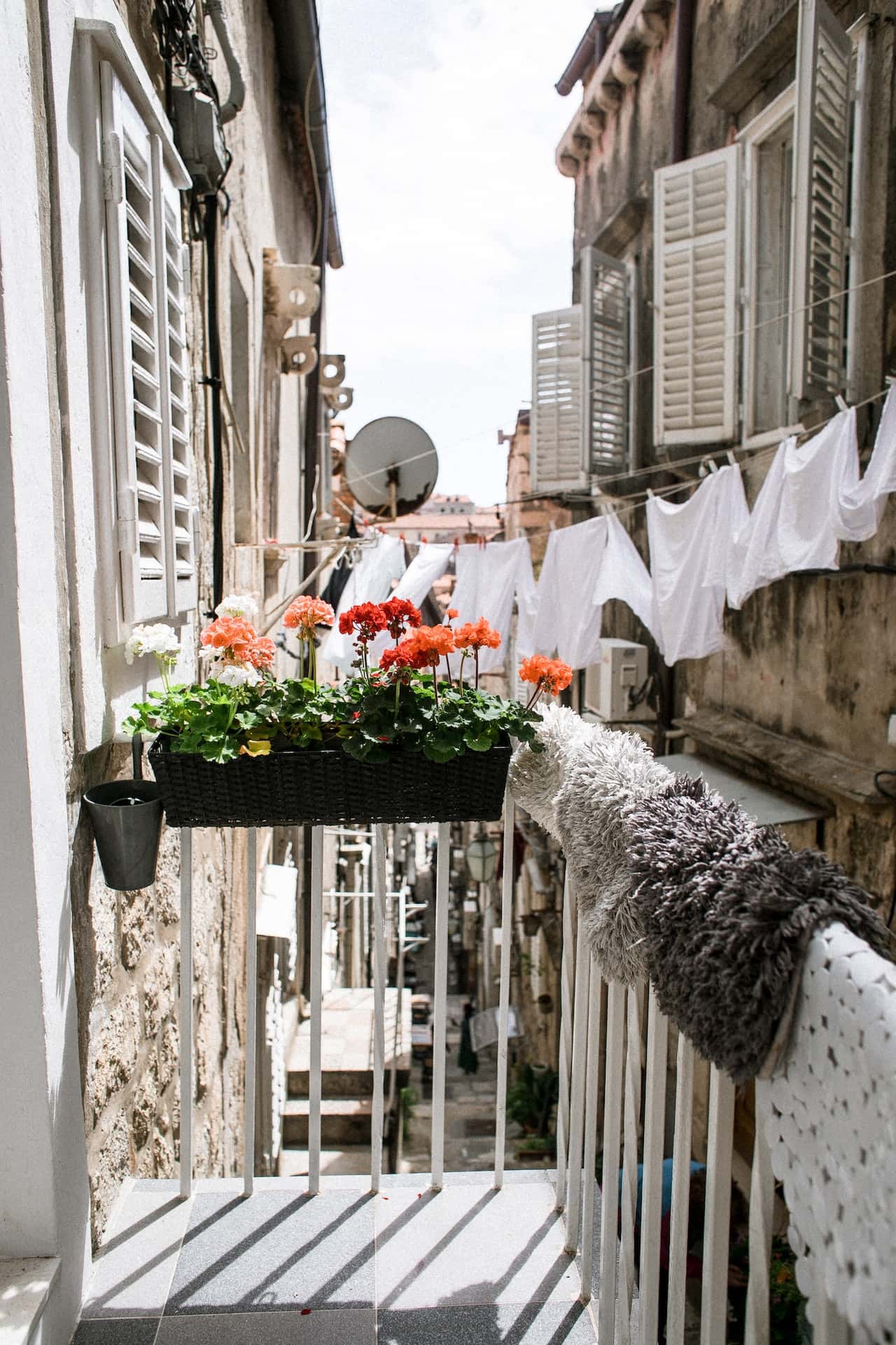 fenced balcony plant