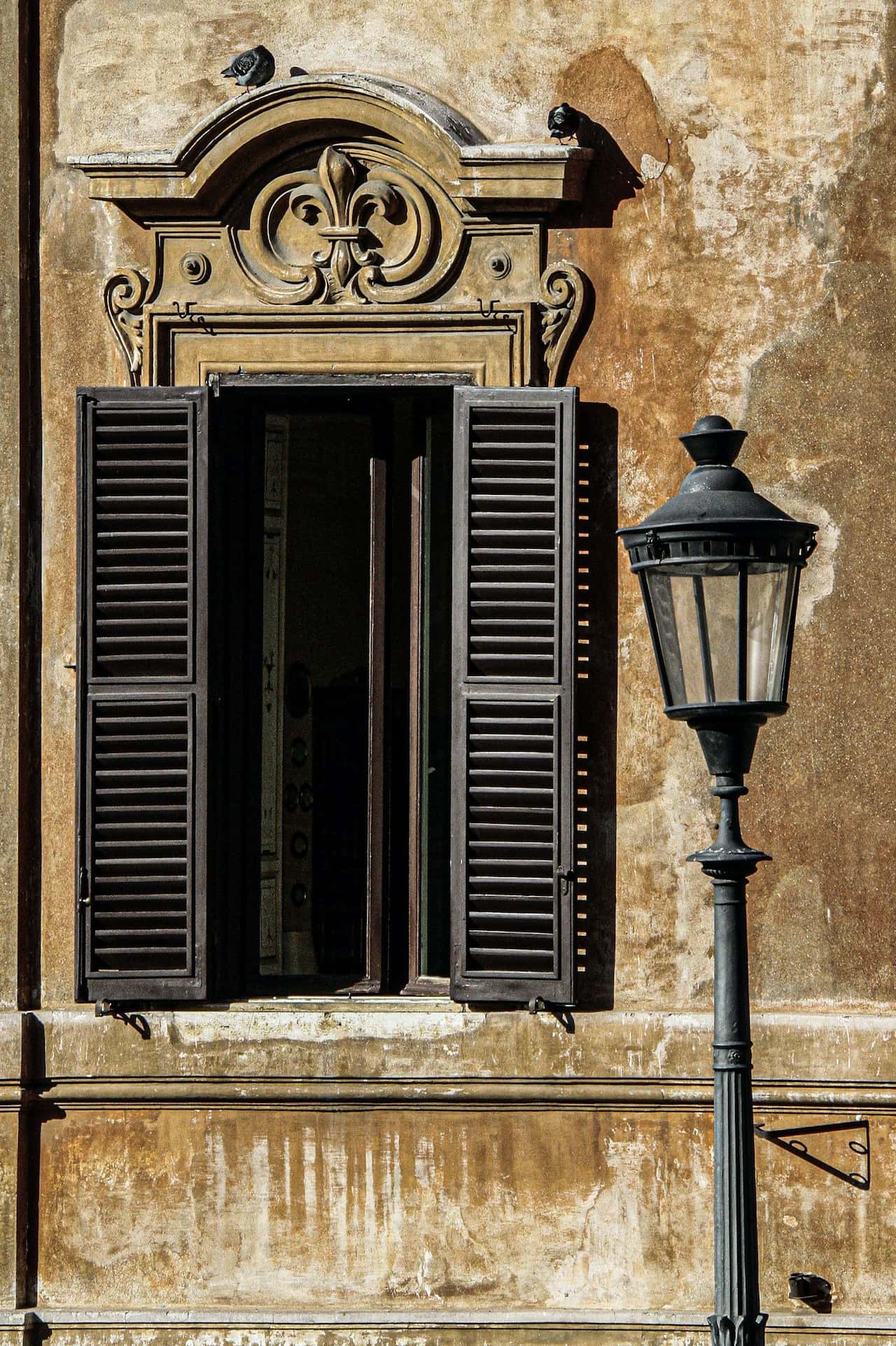 french style window shutter