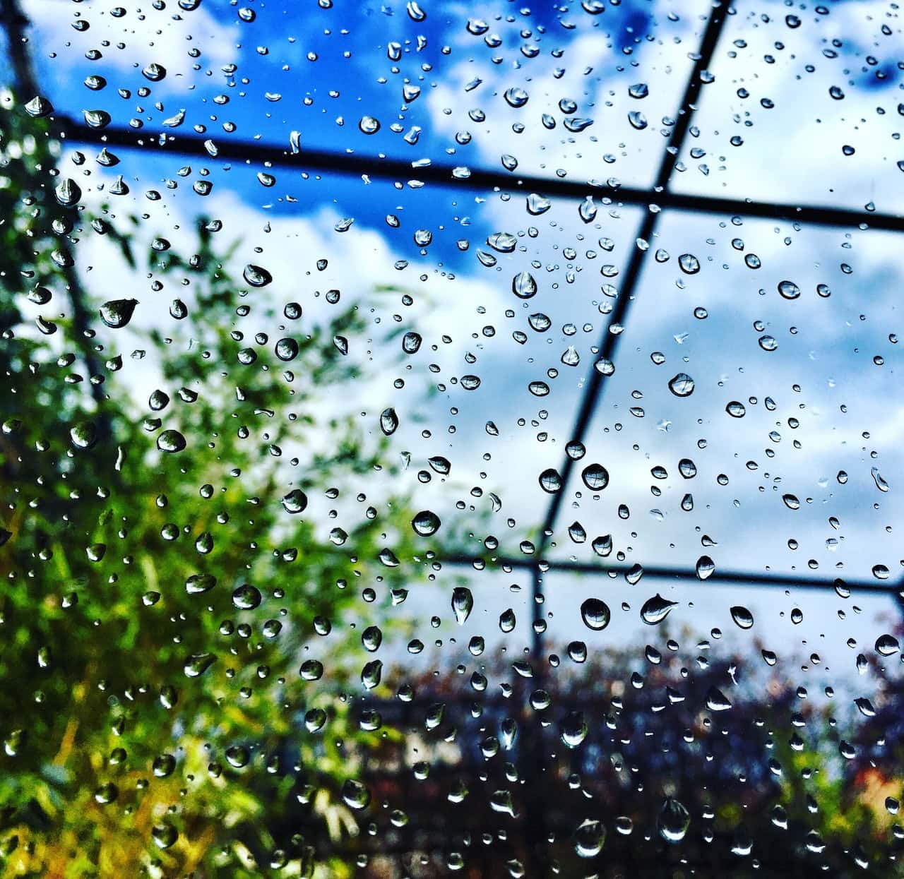 Rain-kissed sitout design view through glass with lush greenery and blue sky