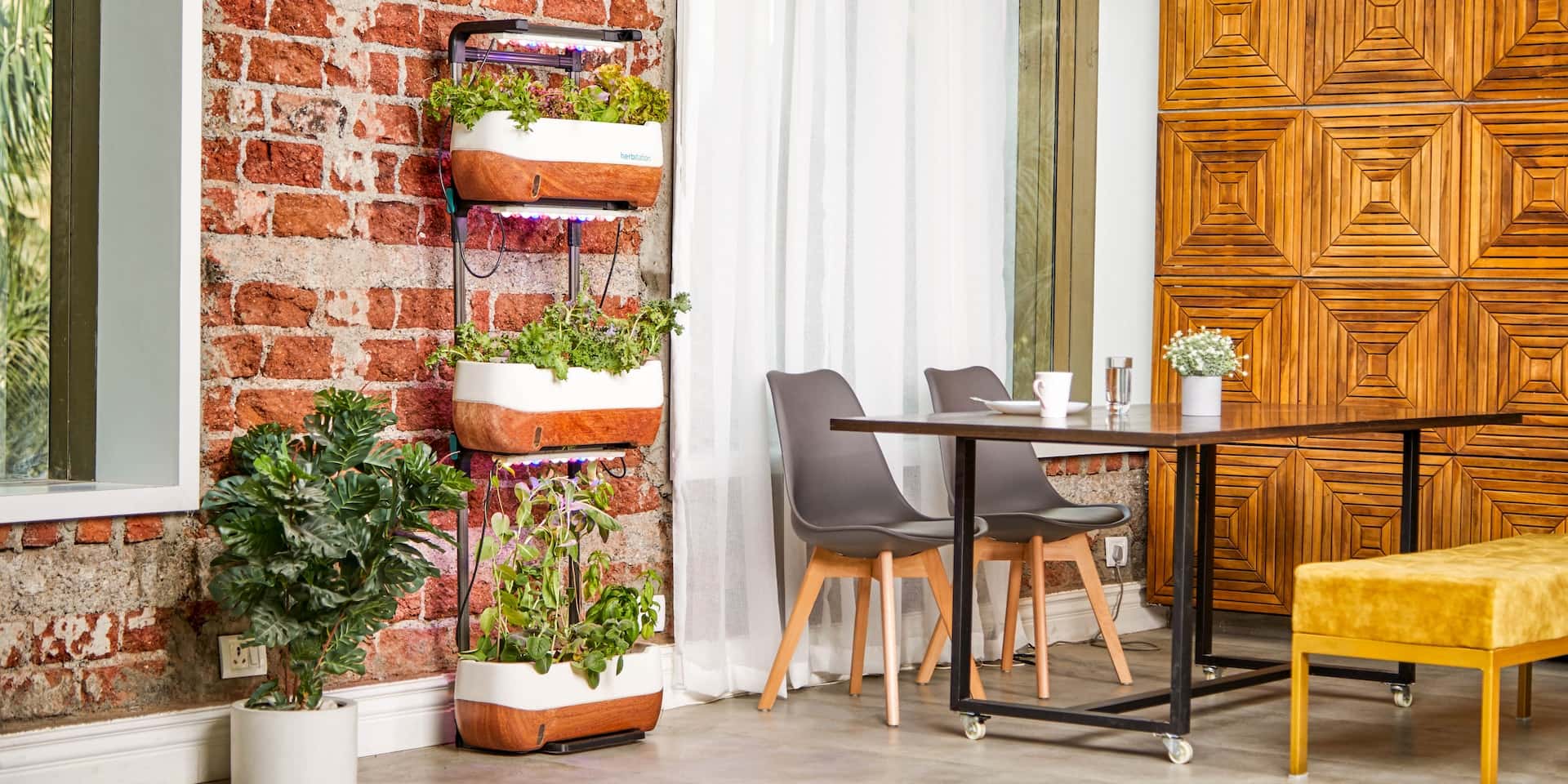 gorgeous balcony plant
