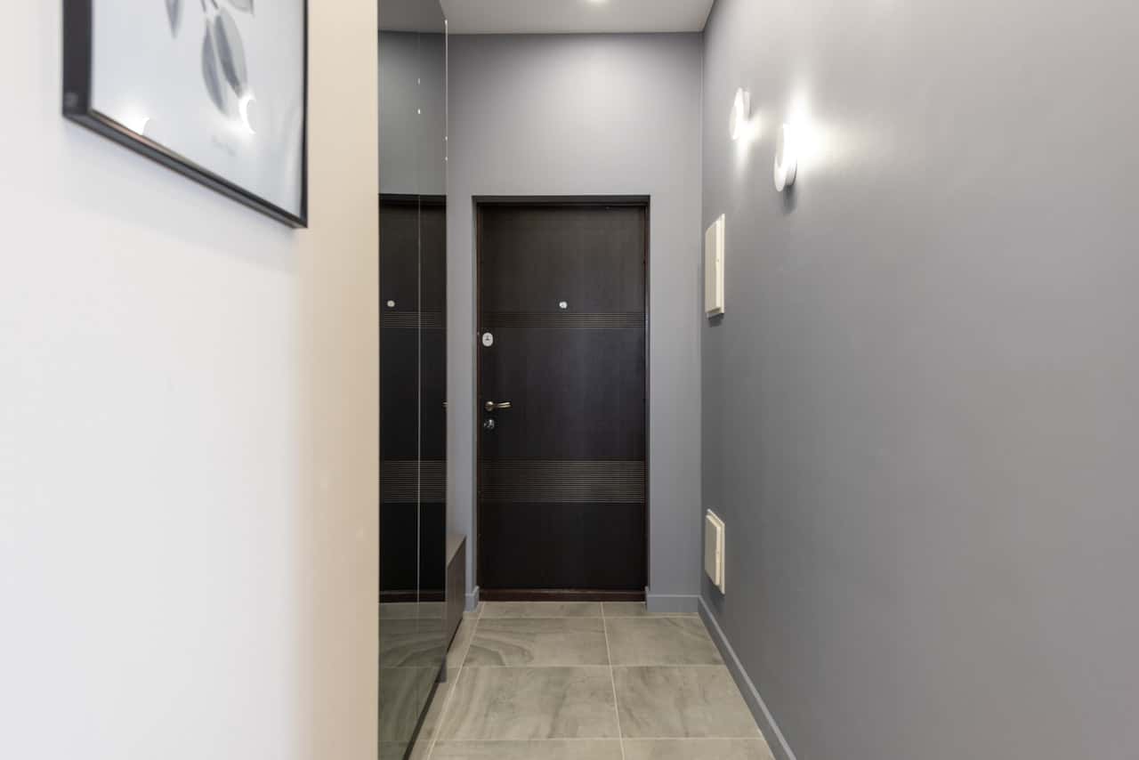 Sleek flush door designs in dark wood finish for a modern home entrance look